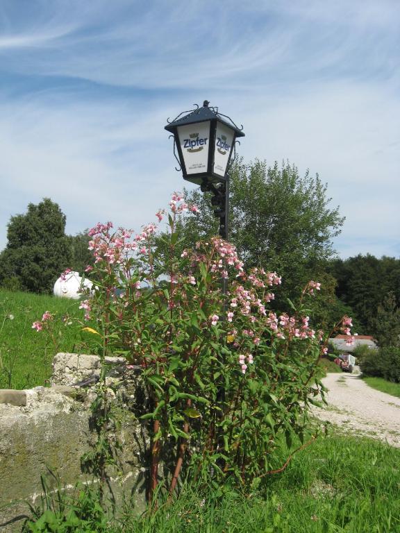 Gasthof Pension Steinberger Sankt Georgen im Attergau Exterior foto